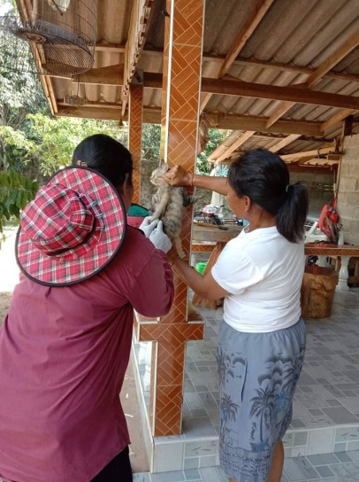 ฉีดวัคซีนป้องกันโรคพิษสุนัขบ้าในสัตว์พื้นที่ตำบลเขาไพร